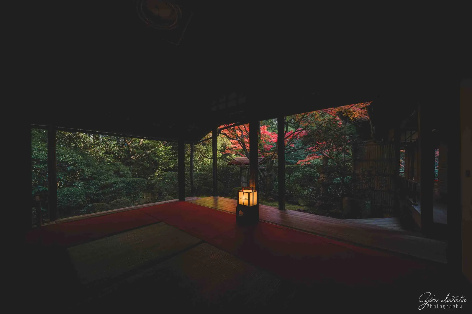 A Single Light — 一灯