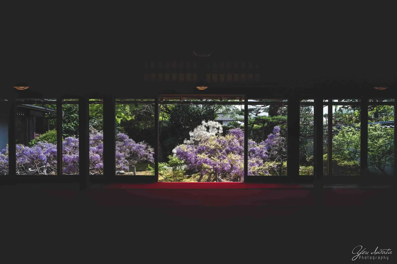 Wisteria Hall — 藤の間