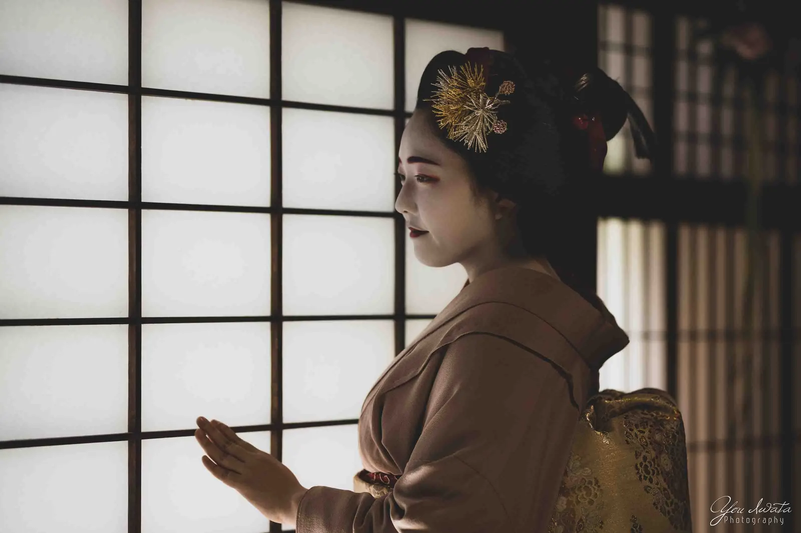 By the Shoji — 障子の光